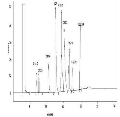 Fig. 1B