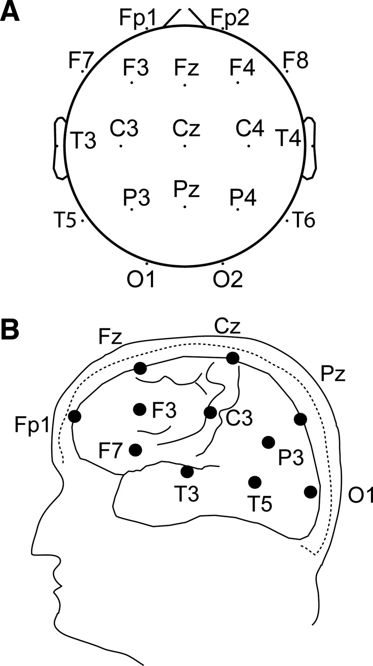 Fig. 1.