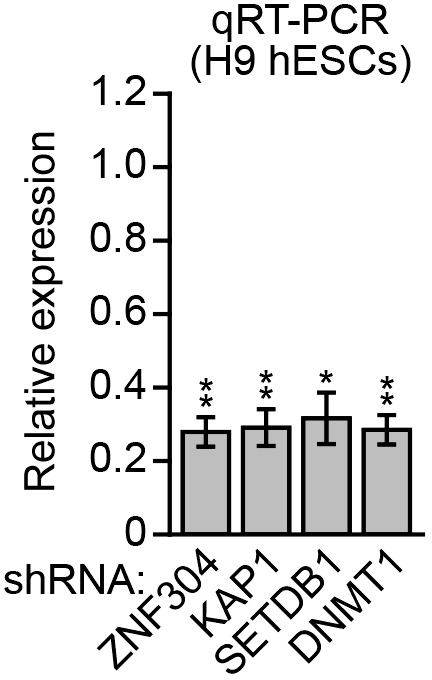 Figure 7—figure supplement 1.