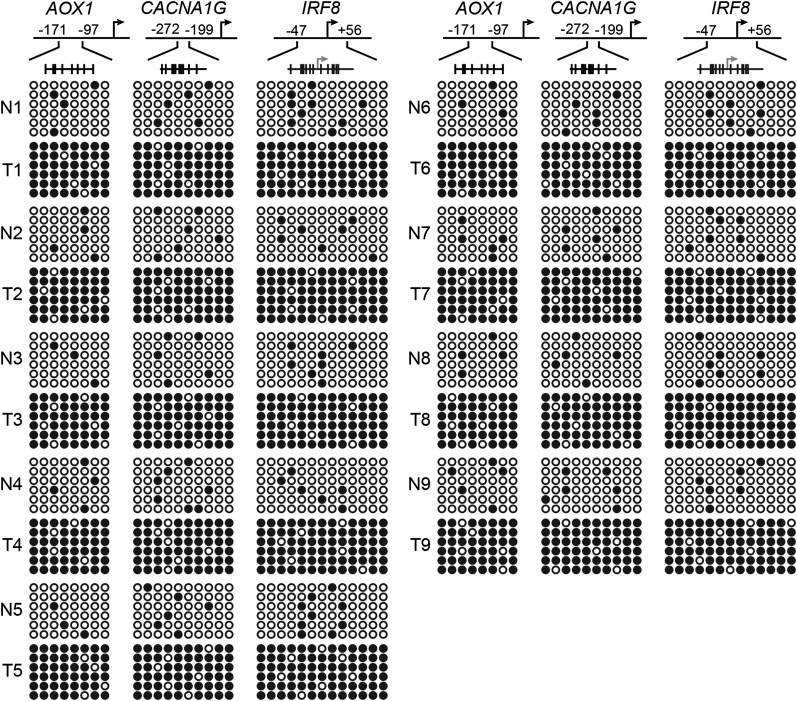 Figure 6—figure supplement 6.