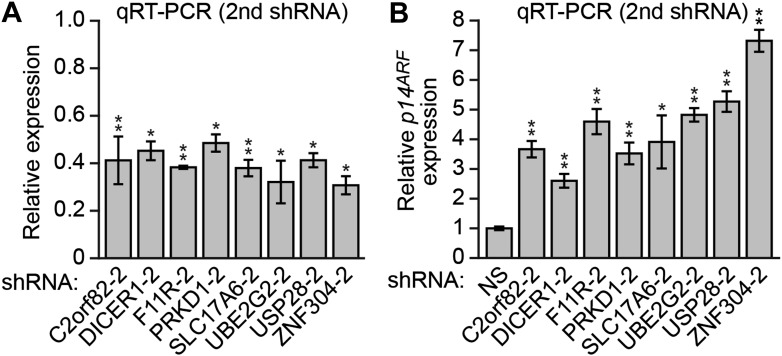 Figure 2—figure supplement 3.