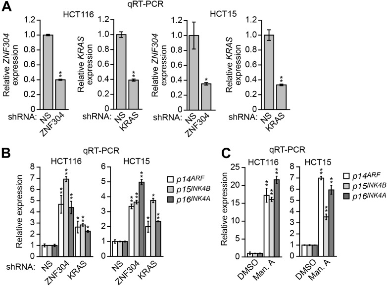 Figure 3—figure supplement 3.