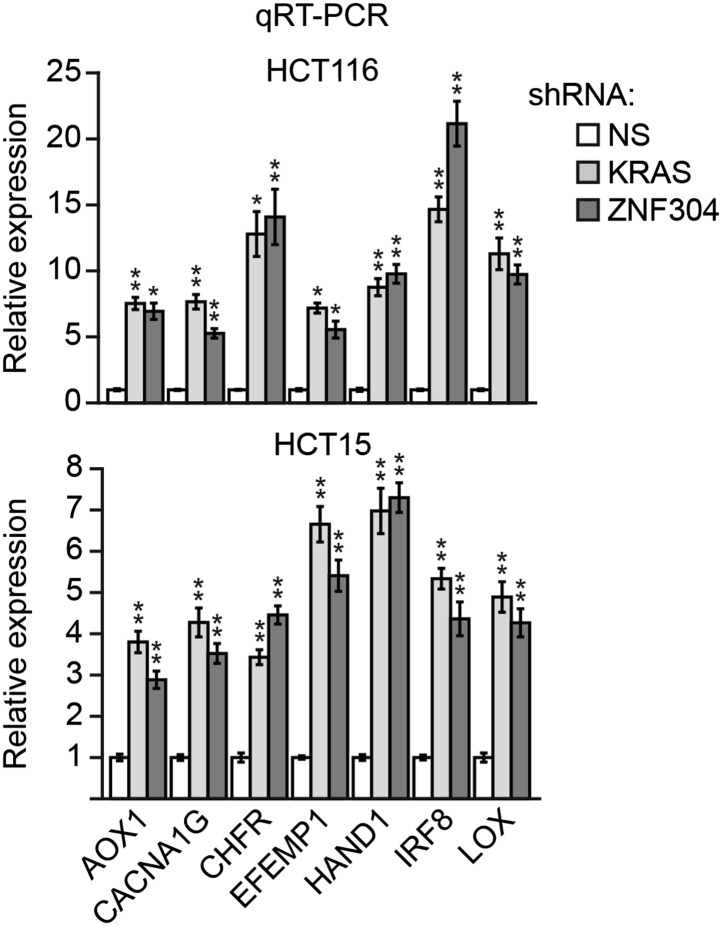 Figure 6—figure supplement 5.