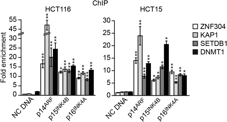 Figure 3—figure supplement 2.