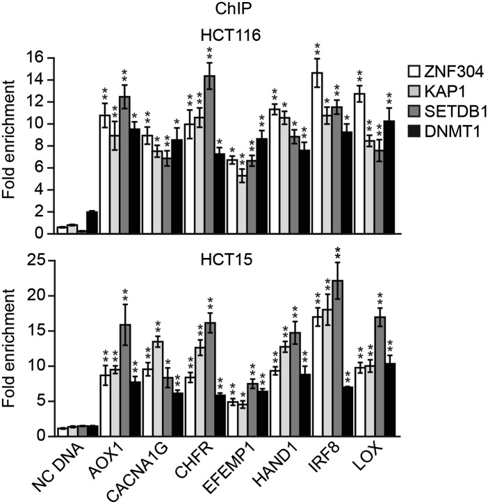 Figure 6—figure supplement 4.