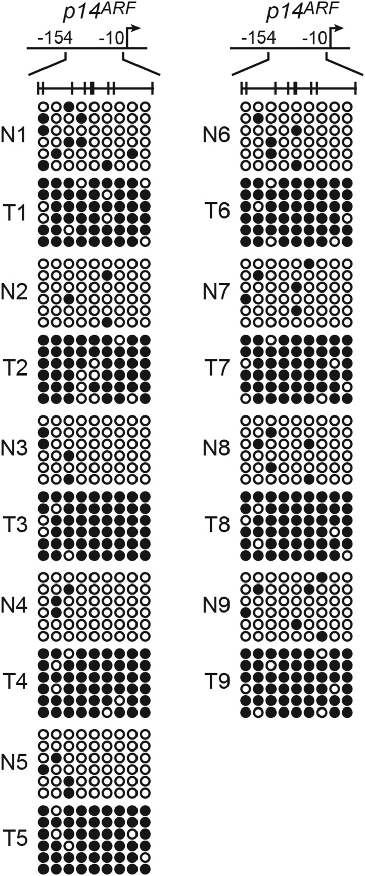 Figure 3—figure supplement 4.