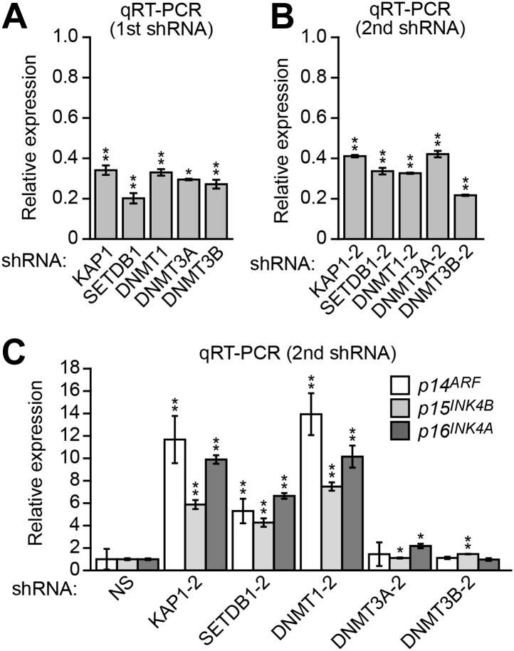 Figure 2—figure supplement 4.