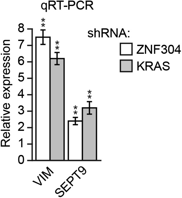 Figure 6—figure supplement 1.