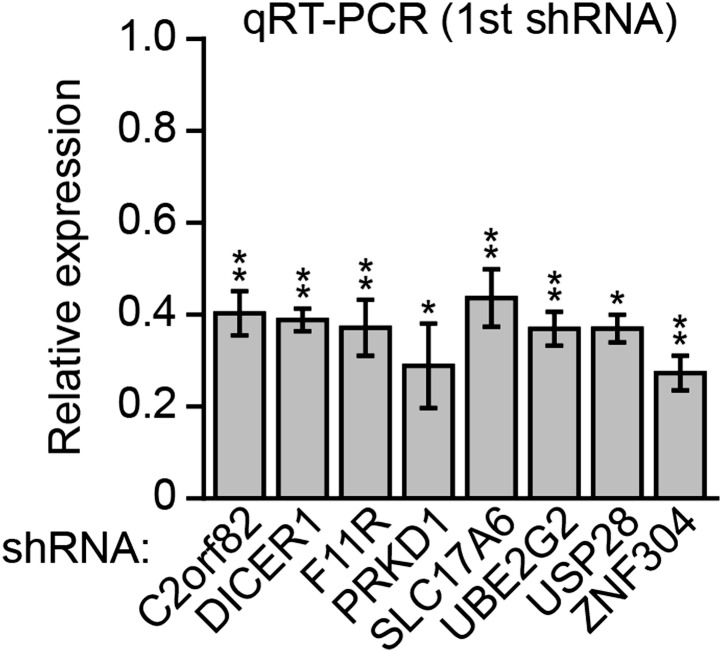 Figure 2—figure supplement 2.