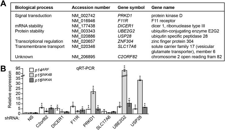 Figure 2—figure supplement 1.