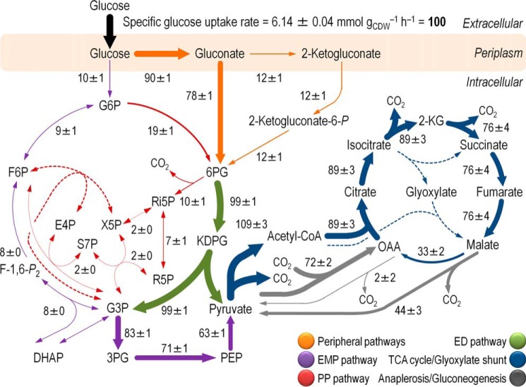 FIGURE 4.