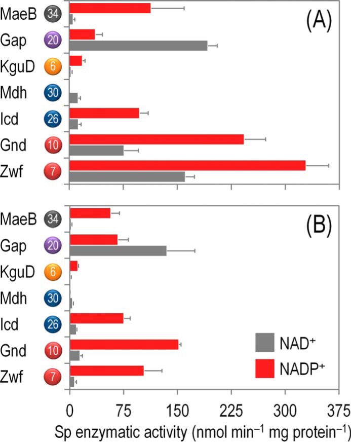 FIGURE 5.