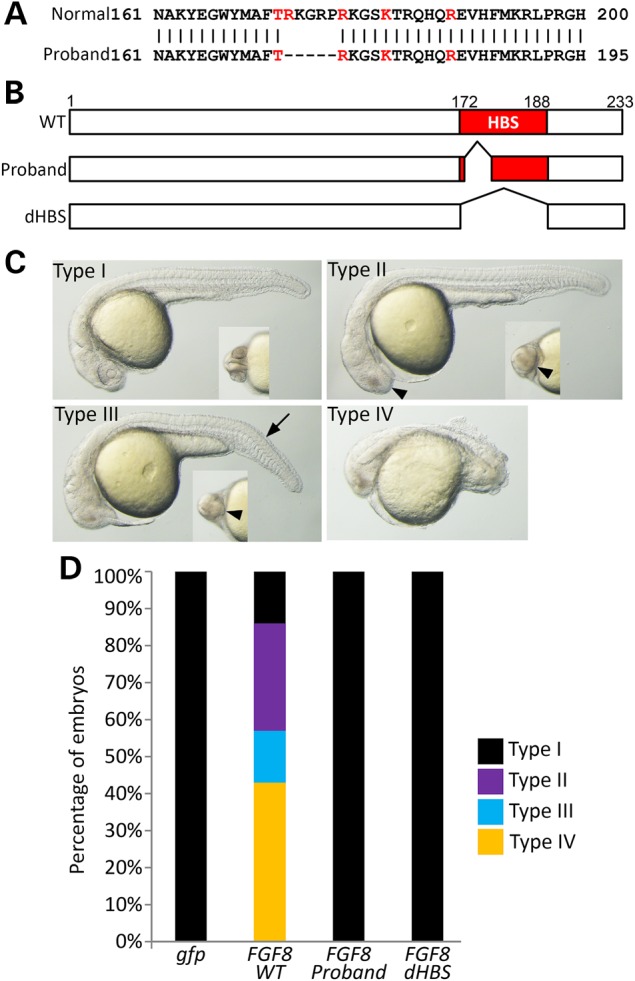 Figure 4.