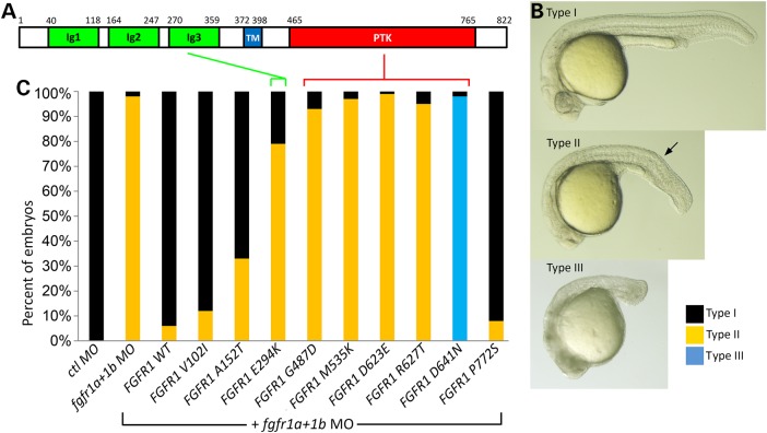 Figure 2.