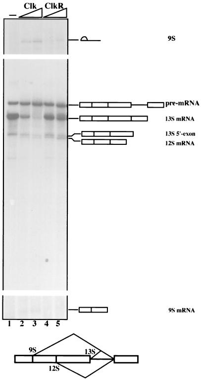 FIG. 7