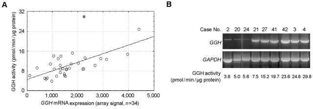 Figure  2. 