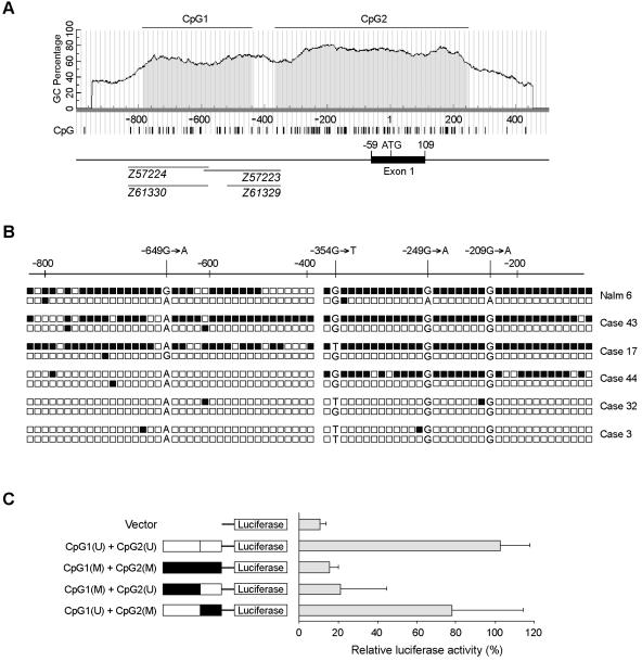 Figure  3. 