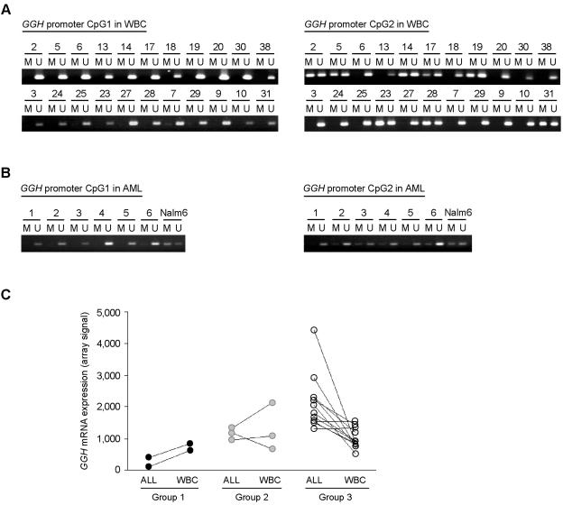 Figure  5. 