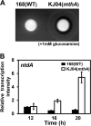 FIG 8