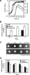 FIG 3