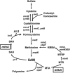 FIG 5