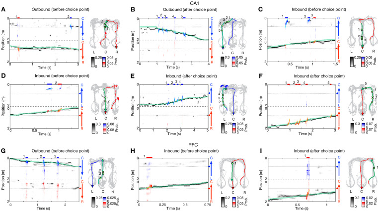 Figure 6—figure supplement 1.