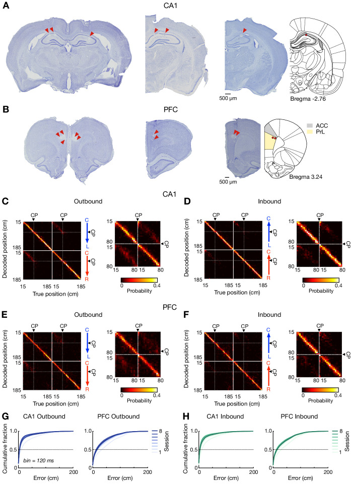 Figure 1—figure supplement 1.