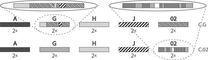 Fig. 3.