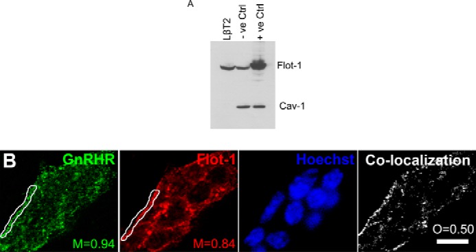 FIGURE 1.