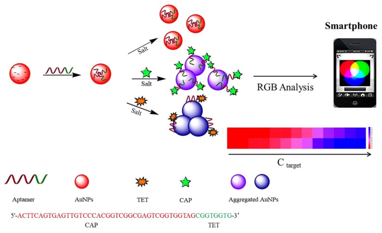 Figure 7