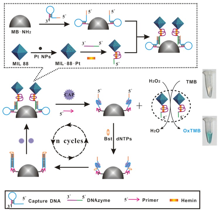 Figure 13