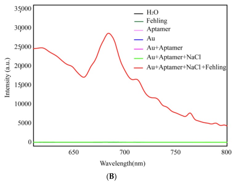 Figure 19