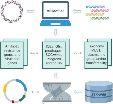 Graphical Abstract