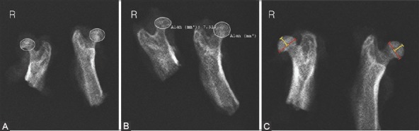 FIGURE 2