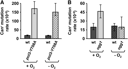 Figure 2.—