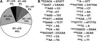 Figure 5.—