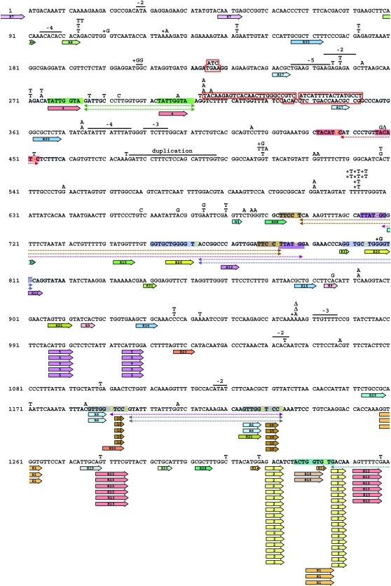 Figure 4.—