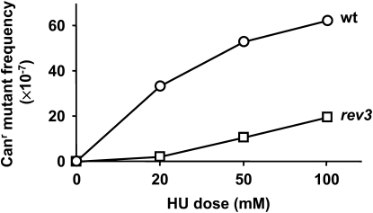 Figure 7.—