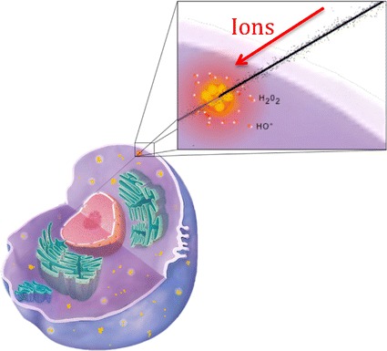 Fig. 3