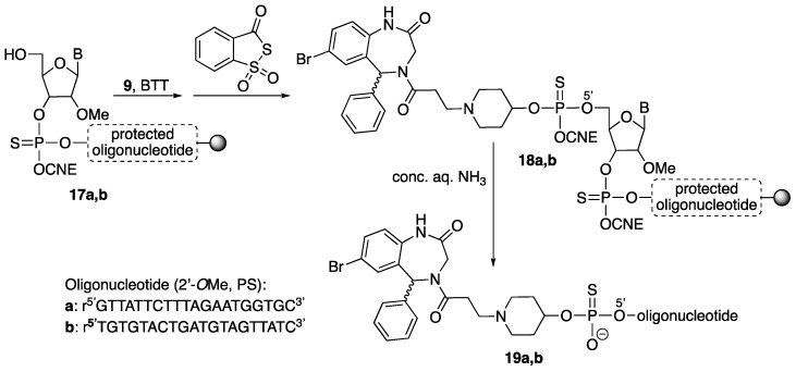 Scheme 4