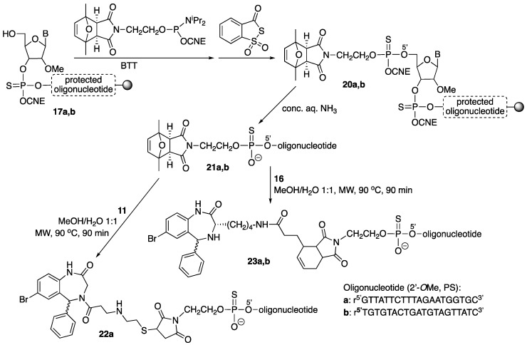 Scheme 5