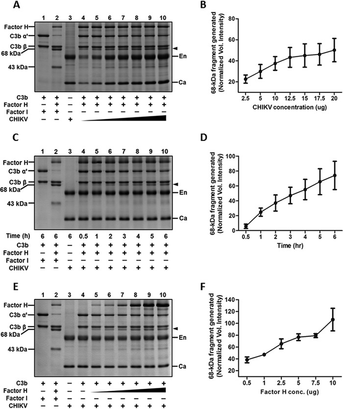 FIG 6