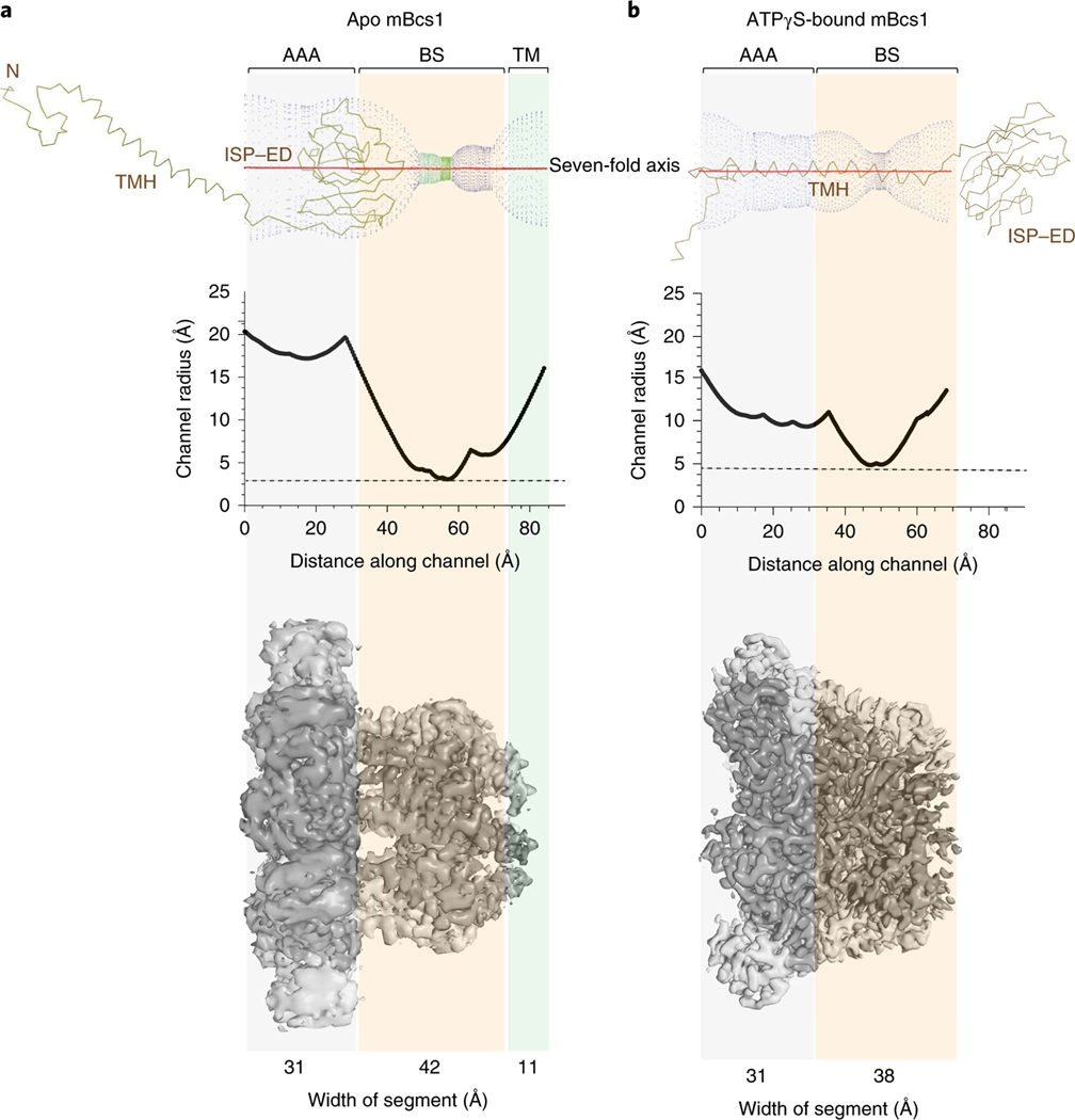 Fig. 4 |