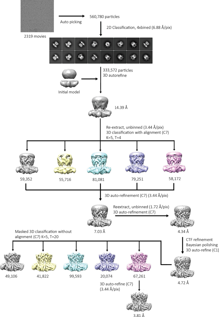 Extended Data Fig. 6 |