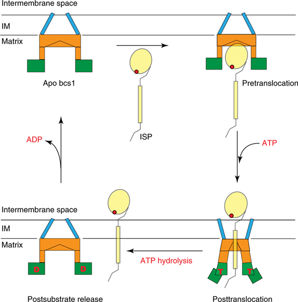 Fig. 5 |