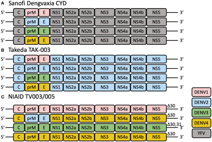 Figure 1