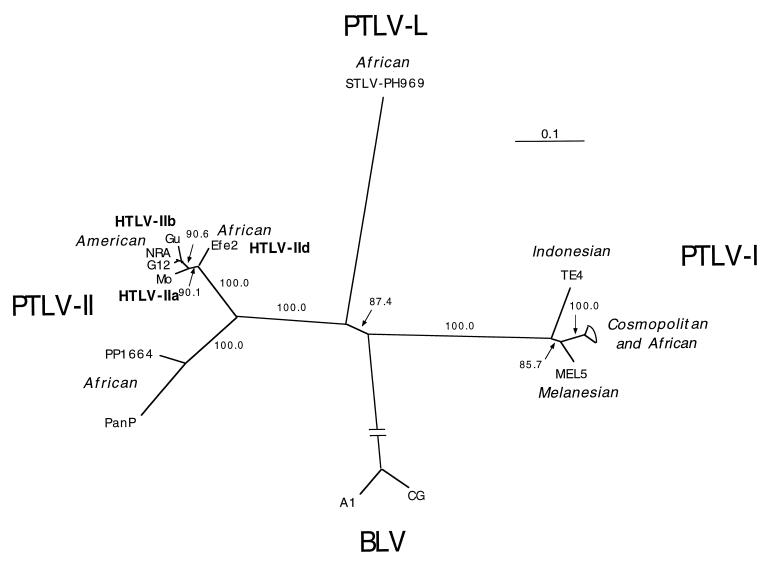 FIG. 5