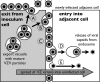 FIG. 8.