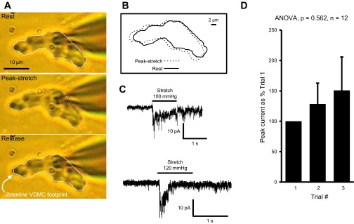 Fig. 3.