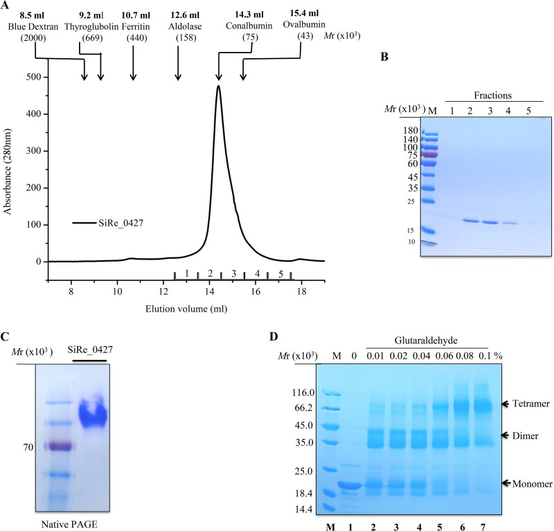 FIG 6